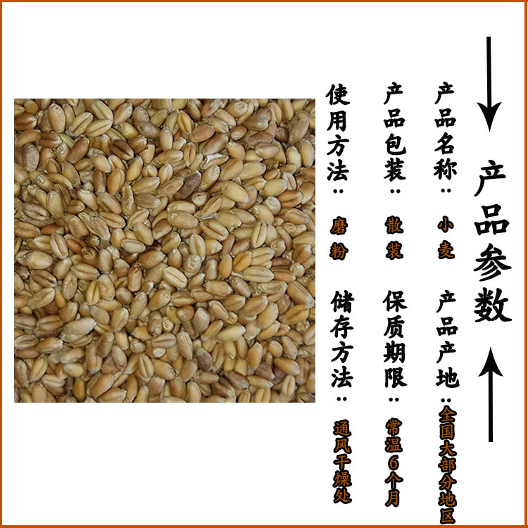 Roasted Wheat Kernels Low Temperature Baked Peeled Wheat for Fresh Soy Milk Northeast China - Image 4