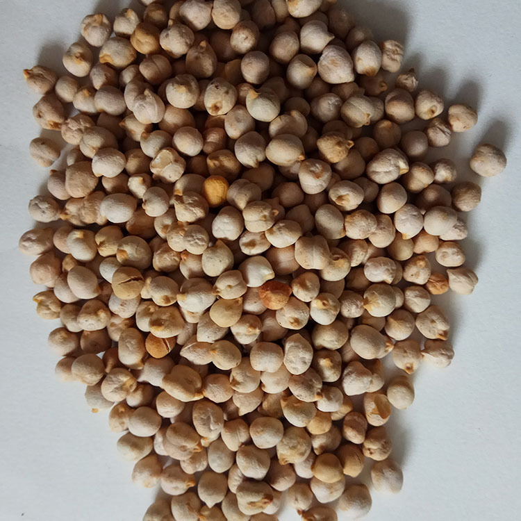 Roasted Chickpeas Ying Zui Dou 鹰嘴豆 Low Temperature Baked Bulk Soy Milk Ingredient - Image 3