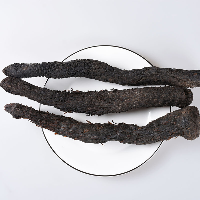 Rou Cong Rong Slices (Cistanche deserticola) — Soft Sweet Food-Herb from Inner Mongolia - Image 2