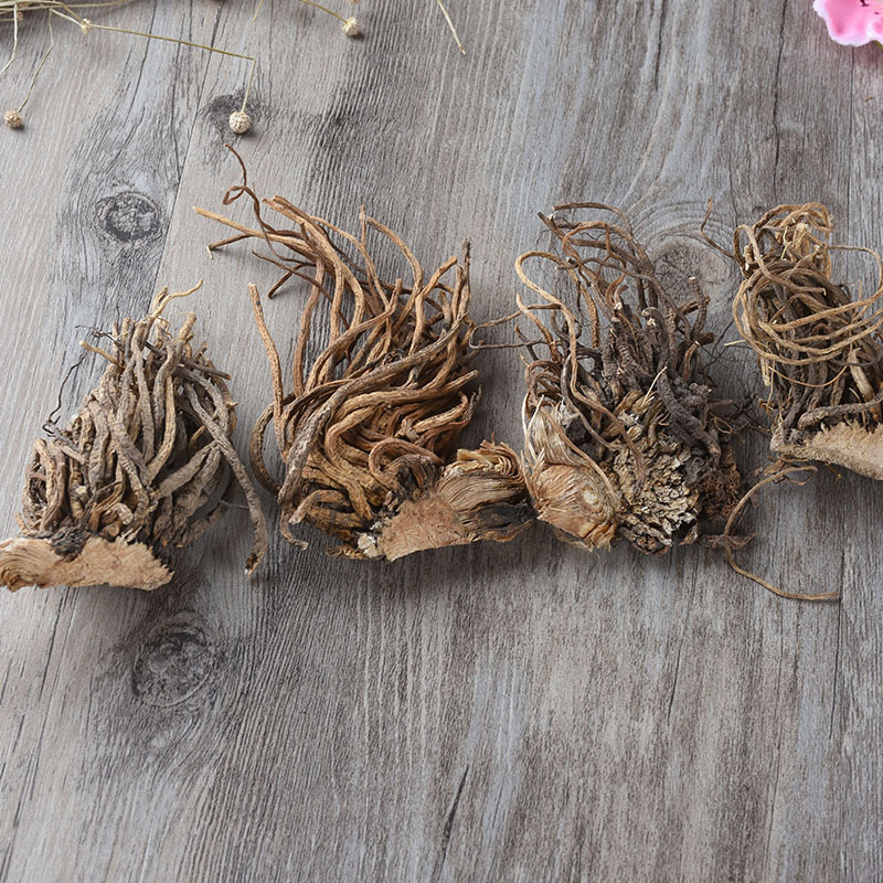 Li Lu (Veratrum nigrum) — Dried Black False Hellebore Root, Traditional Chinese Herb - Image 3