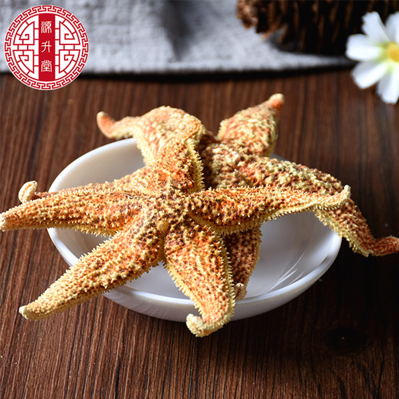 Dried Starfish (Asterias amurensis) — Whole Sea Star for Herbal Wine Infusion & Display - Image 2