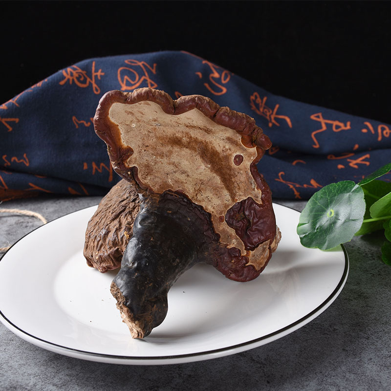 Reishi Mushroom Slices (Ganoderma lucidum) — Dried Chi Zhi from Changbai Mountain, Jilin - Image 3