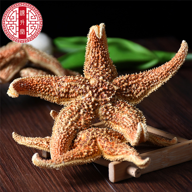Dried Starfish (Asterias amurensis) — Whole Sea Star for Herbal Wine Infusion & Display - Image 3