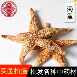 Dried Starfish (Asterias amurensis) — Whole Sea Star for Herbal Wine Infusion & Display