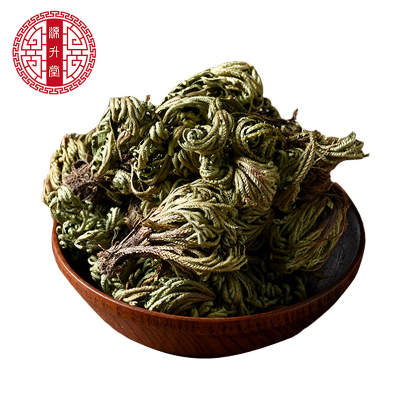 Juan Bai (Selaginella tamariscina) — Dried Resurrection Herb, Sulfur-Free 500g - Image 5