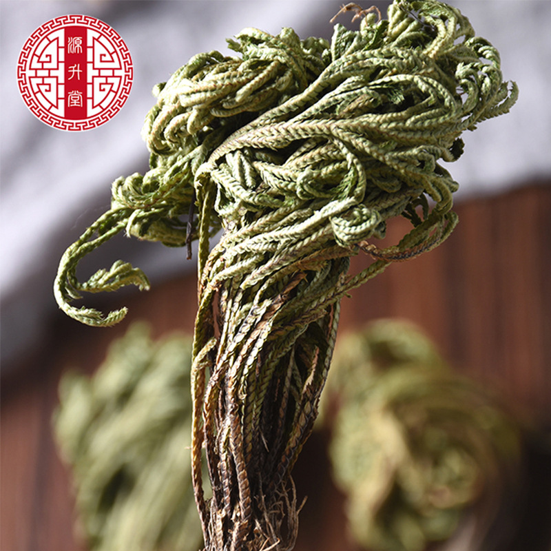 Juan Bai (Selaginella tamariscina) — Dried Resurrection Herb, Sulfur-Free 500g - Image 4