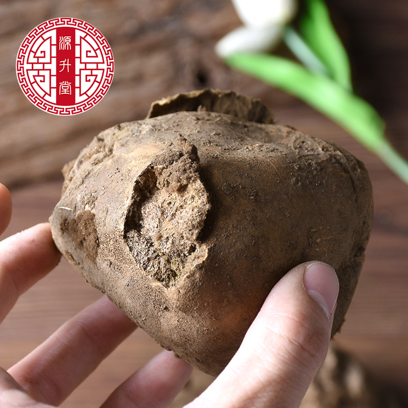 Ma Bo (Lasiosphaera seu Calvatia) — Dried Puffball Mushroom Herb, Food-Grade 500g - Image 4