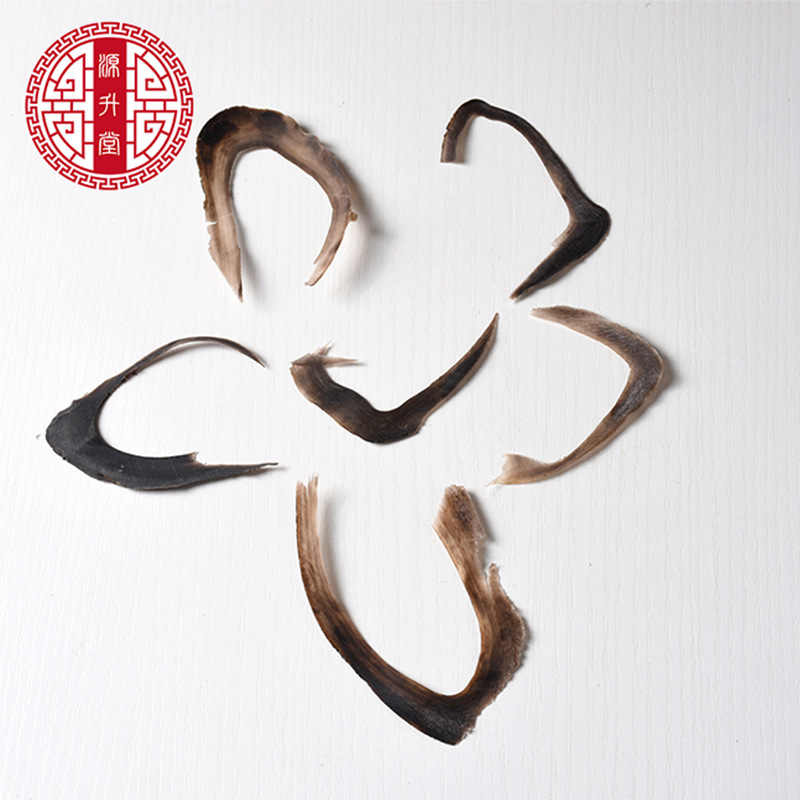 Water Buffalo Horn Shavings (Bubalus bubalis) — Dried TCM Herb, 500g Bulk - Image 3