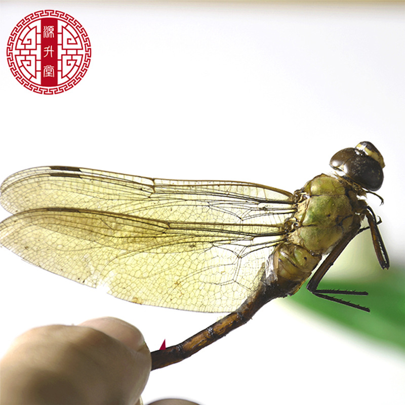 Dried Green Dragonfly (Anisoptera) — Whole Clean Edible Insect Herb 500g - Image 2