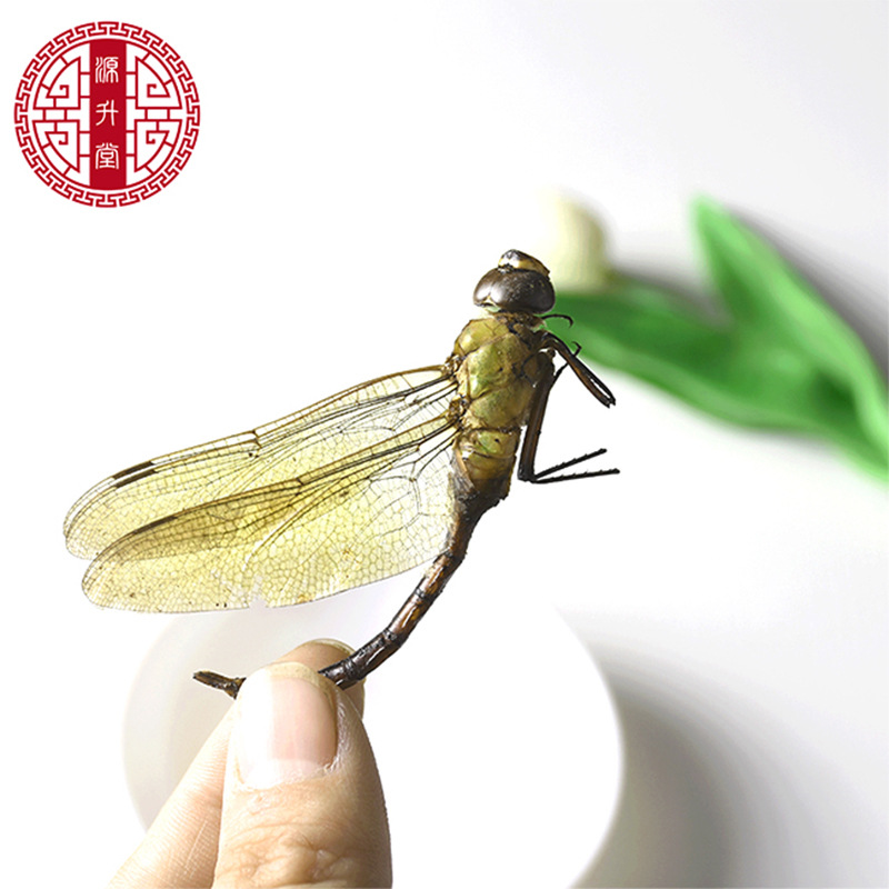 Dried Green Dragonfly (Anisoptera) — Whole Clean Edible Insect Herb 500g - Image 4