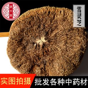 Xue Ling Zhi (Arenaria kansuensis) — Tibetan Snow Ginseng Herb, Sulfur-Free Dried Whole Herb