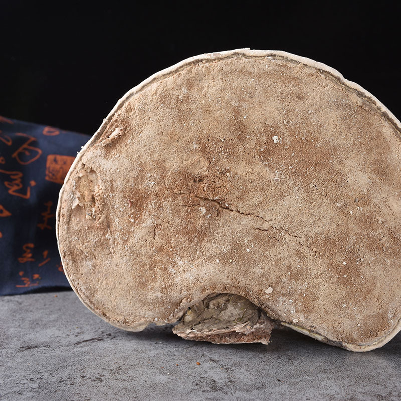 White Lingzhi (Ganoderma lucidum) — Dried Reishi Mushroom from Changbai Mountain, 500g - Image 2