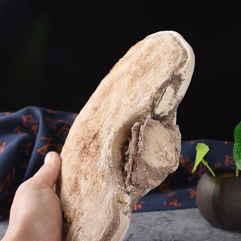 White Lingzhi (Ganoderma lucidum) — Dried Reishi Mushroom from Changbai Mountain, 500g - Image 3