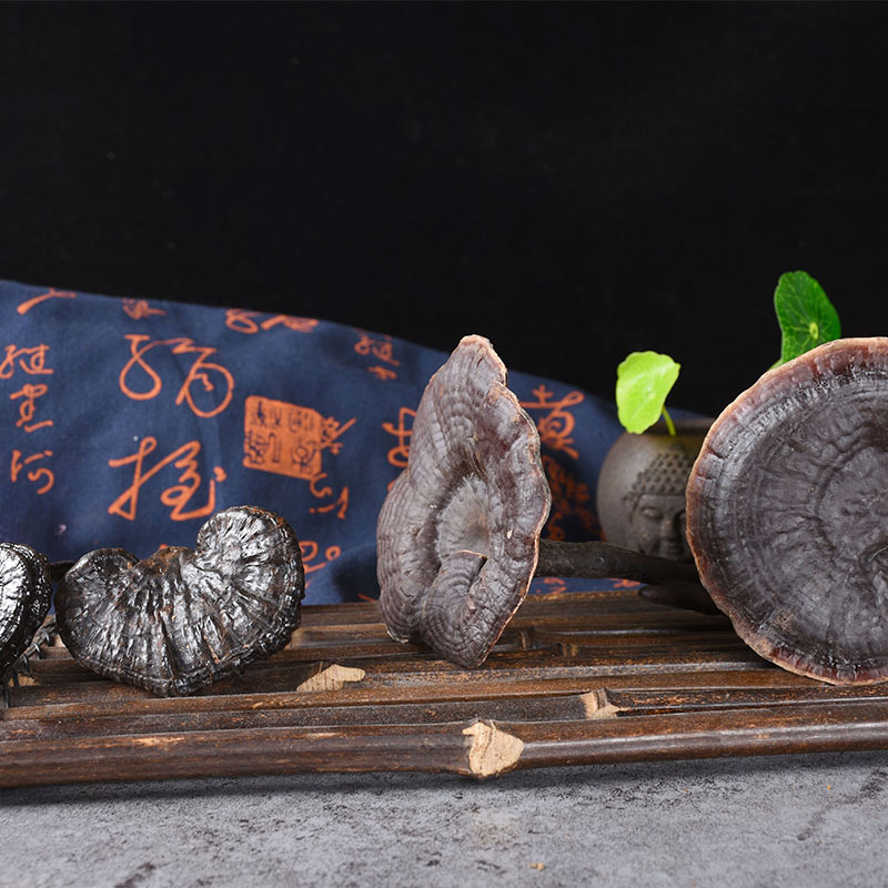 Black Reishi Mushroom (Ganoderma sinense) — Dried Whole Herb for Wine Infusion & Soup - Image 4