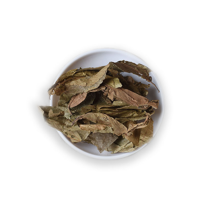 Bu Zha Ye (Microcos paniculata) — Dried Food Herb Leaves for Tea & Soup - Image 5