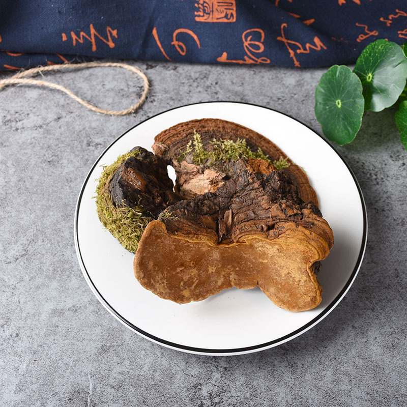 Dou Long Zhi (Ganoderma) — Tibetan Dried Reishi Mushroom, Bulk 500g Food Herb - Image 2