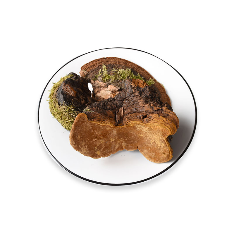 Dou Long Zhi (Ganoderma) — Tibetan Dried Reishi Mushroom, Bulk 500g Food Herb - Image 5