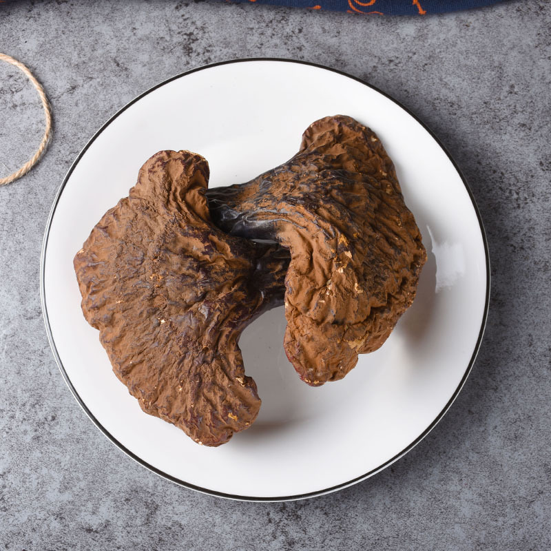 Reishi Mushroom Slices (Ganoderma lucidum) — Dried Chi Zhi from Changbai Mountain, Jilin - Image 4