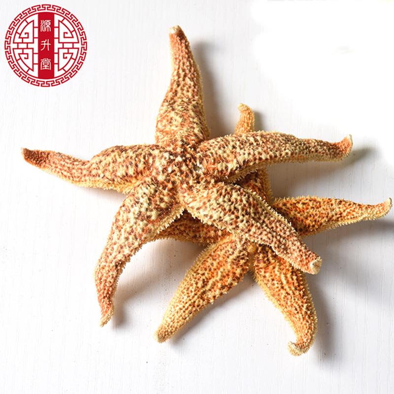 Dried Starfish (Asterias amurensis) — Whole Sea Star for Herbal Wine Infusion & Display - Image 5
