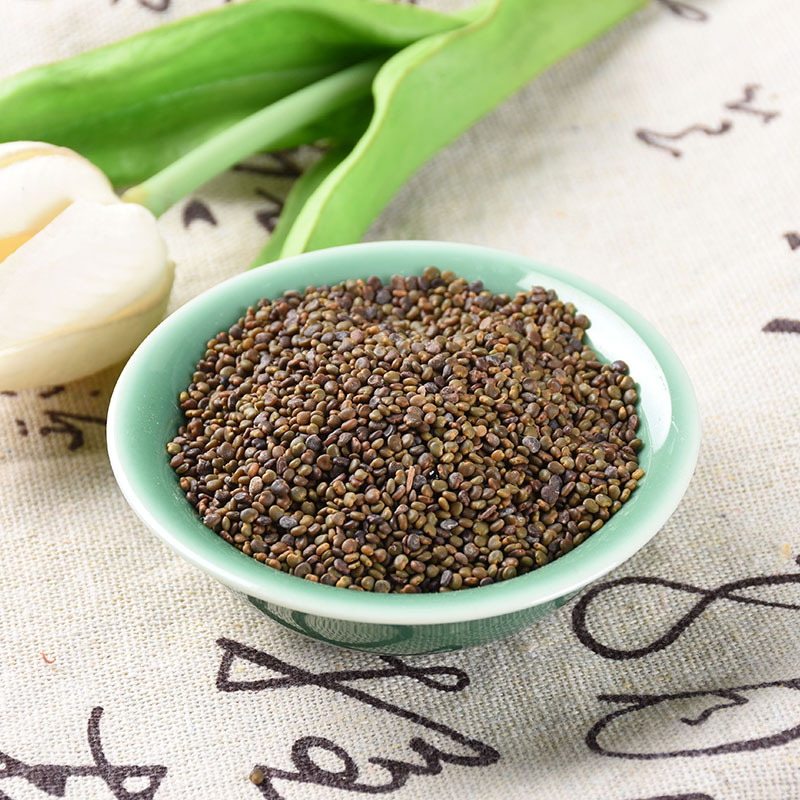 Sha Yuan Zi (Astragalus complanatus) — Shaanxi Dried Food Herb Seeds, 500g Bulk - Image 3