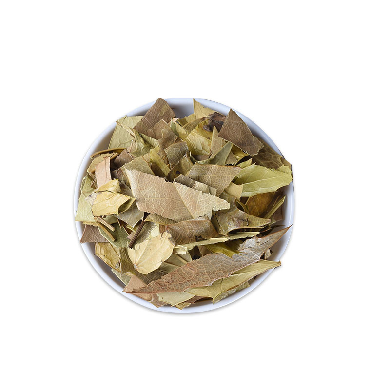Shi Da Gong Lao Ye (Mahonia bealei) — Dried Mahonia Leaf for Herbal Tea & Decoction - Image 5