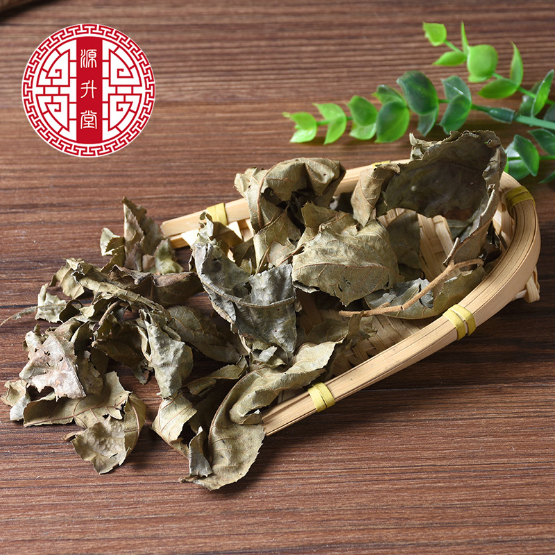 Qing Qian Liu Leaves (Cyclocarya paliurus) — Dried Food Herb for Herbal Tea & Decoction - Image 3