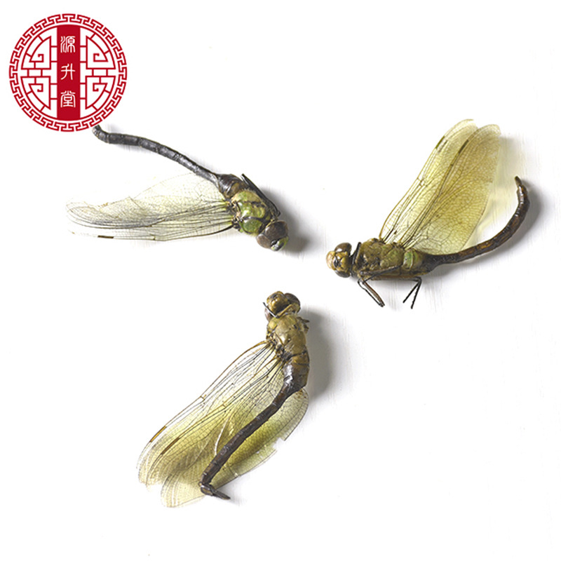 Dried Green Dragonfly (Anisoptera) — Whole Clean Edible Insect Herb 500g - Image 3