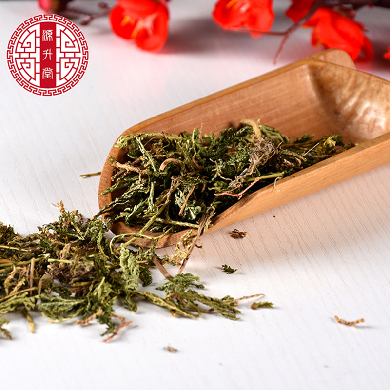 Shi Shang Bai (Selaginella doederleinii) — Dried Sulfur-Free Chinese Herb, 500g - Image 4
