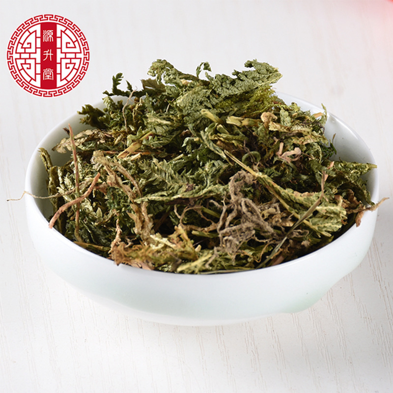 Shi Shang Bai (Selaginella doederleinii) — Dried Sulfur-Free Chinese Herb, 500g - Image 5