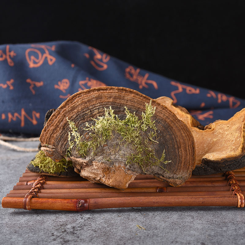 Dou Long Zhi (Ganoderma) — Tibetan Dried Reishi Mushroom, Bulk 500g Food Herb - Image 3