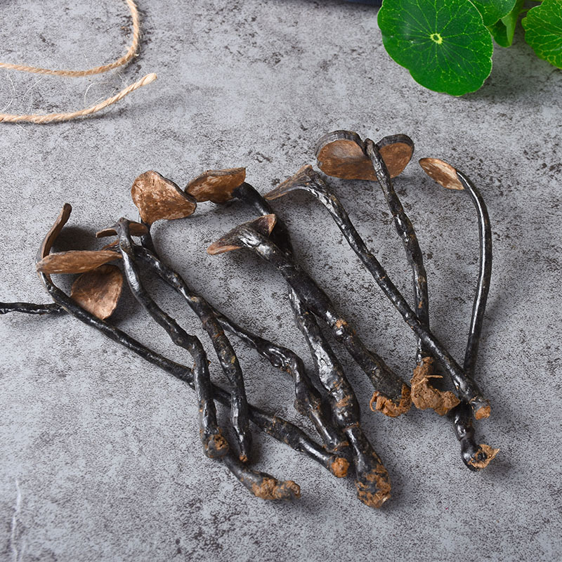 Bamboo Reishi Mushroom (Ganoderma lucidum) — Dried Wild Mountain Lingzhi Slices, 500g - Image 4
