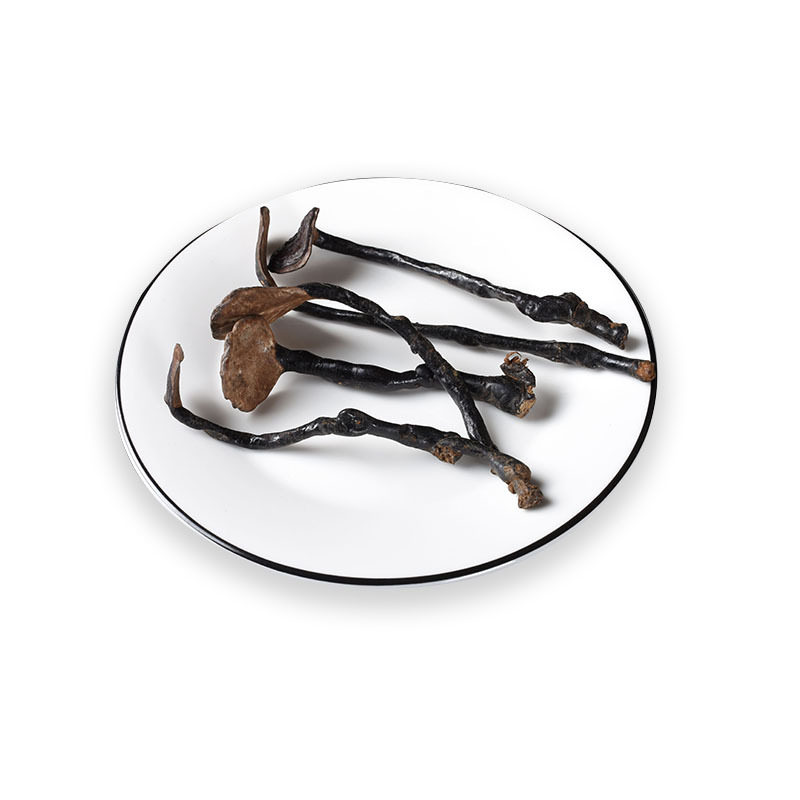 Bamboo Reishi Mushroom (Ganoderma lucidum) — Dried Wild Mountain Lingzhi Slices, 500g - Image 5
