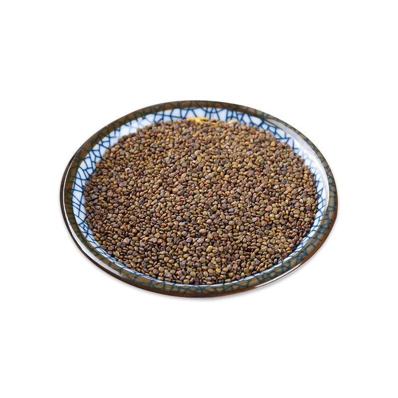 Sha Yuan Zi (Astragalus complanatus) — Shaanxi Dried Food Herb Seeds, 500g Bulk - Image 5