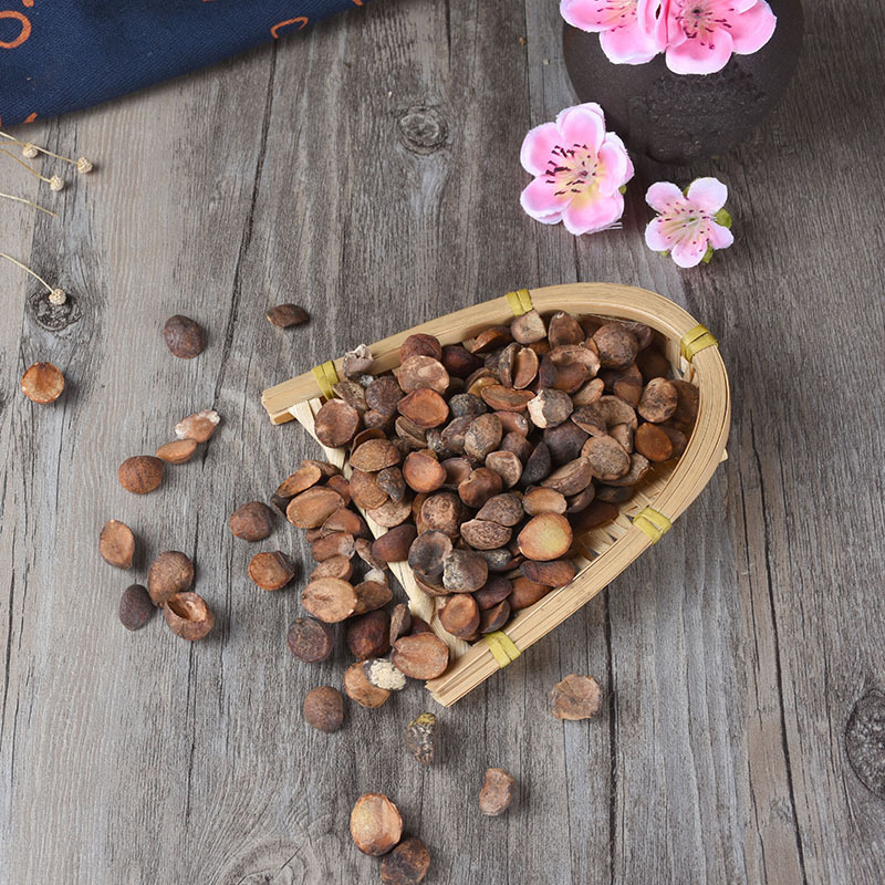 Loquat Seeds (Eriobotrya japonica) — Dried Food Herb for Traditional Wellness - Image 4