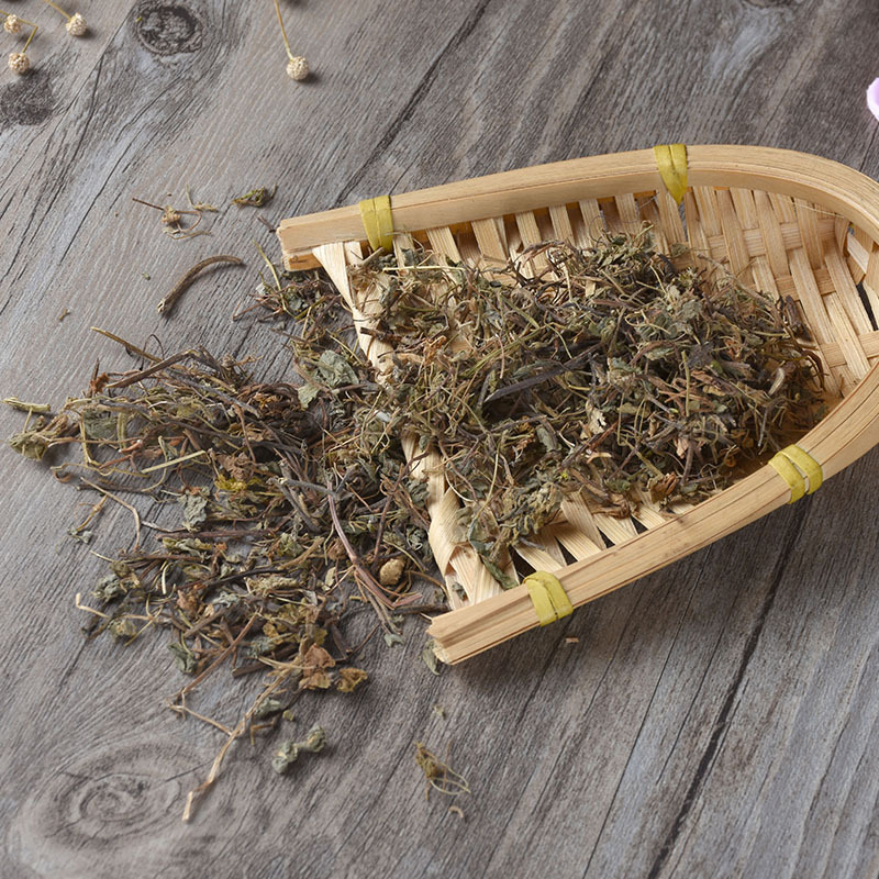 Tian Zi Cao (Marsilea quadrifolia) — Dried Four-Leaf Clover Water Herb, 500g - Image 3