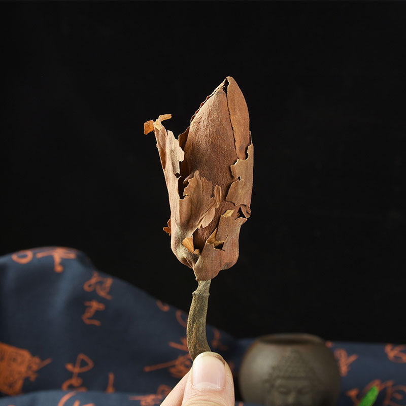 Hou Po Hua (Magnolia officinalis Flower) — Dried Food Herb for Tea & Soup - Image 3