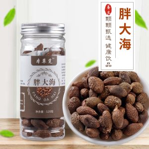Pang Da Hai (Sterculia lychnophora) — Dried Malva Nut for Herbal Tea, 120g Jar