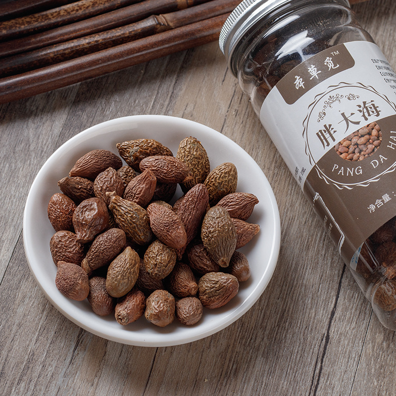 Pang Da Hai (Sterculia lychnophora) — Dried Malva Nut for Herbal Tea, 120g Jar - Image 2