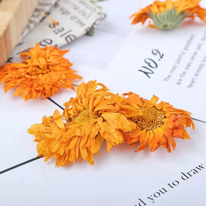 Calendula Flower Tea Jin Zhan Ju 500g Dried Herbal Flowers for Cold Brew and Infusions - Image 3