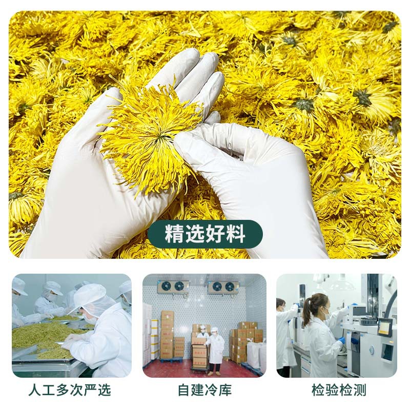 Golden Silk Chrysanthemum Tea Large Blooms Jin Si Huang Ju 50g One Flower Per Cup - Image 2