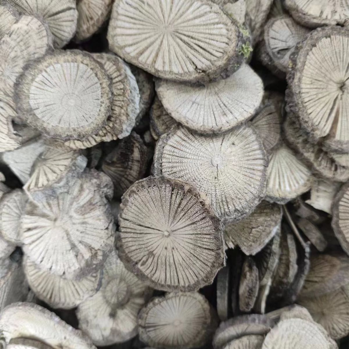 Qing Feng Teng (Sinomenium acutum) — Dried Herbal Stem for Decoction & Tea, 500g - Image 2