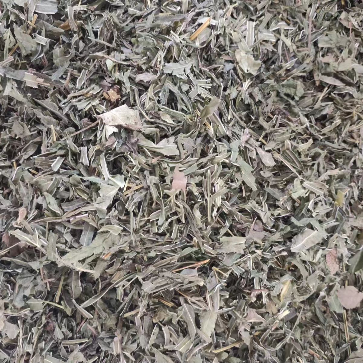 Feng Wei Cao (Pteris multifida) — Dried Chinese Herb, Powder Option, 500g - Image 2