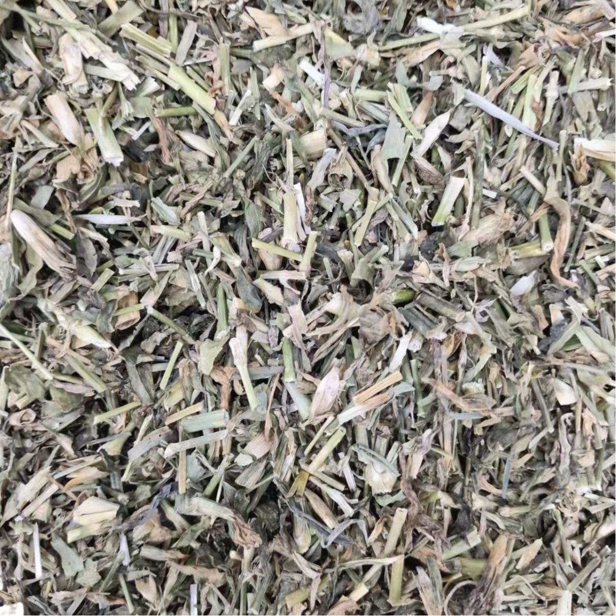 Qu Mai (Dianthus superbus) — Dried Chinese Herbal Flower for Tea & Decoction - Image 5