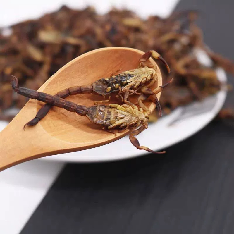 Whole Scorpion Quan Xie Dried TCM Herb 500g Natural Sun Dried Shandong Origin - Image 2