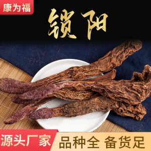 Suo Yang Slices (Cynomorium songaricum) — Dried TCM Herb for Wine Soaking & Powder