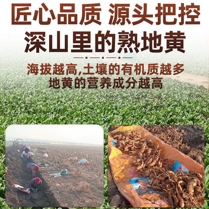 Nine-Steam Nine-Sun Dried Rehmannia Root Slices Shu Di Huang 170g Traditional Chinese Herbal Decoction Pieces - Image 2