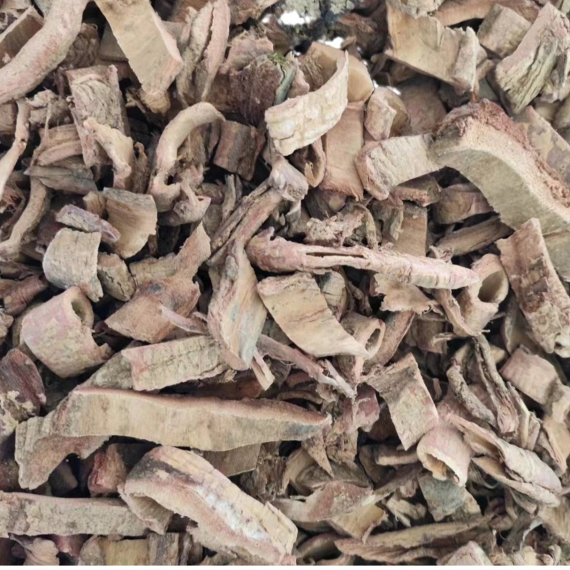 Tu Jin Pi (Pseudolarix amabilis) — Dried Traditional Herb Bark, 500g - Image 5