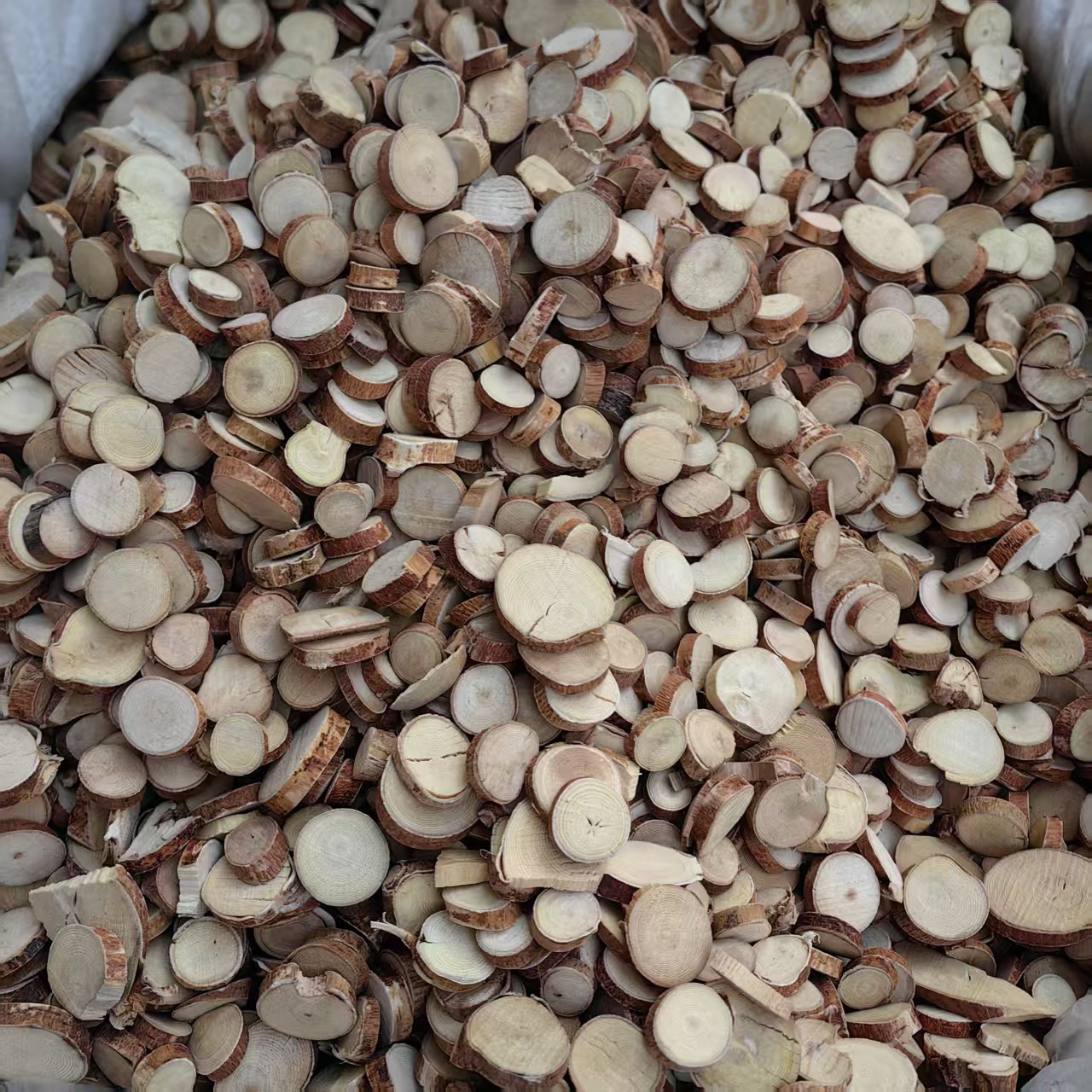 Wu Zhi Mao Tao Powder 500g Ficus Hirta Root Powder Guangxi Origin Sun Dried No Sulfur - Image 4