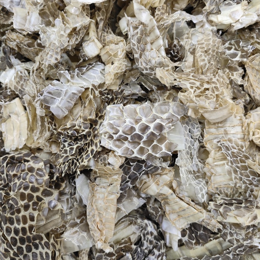 She Tui (Snake Slough) — Dried Shed Snake Skin, Traditional Chinese Herb, 500g - Image 2