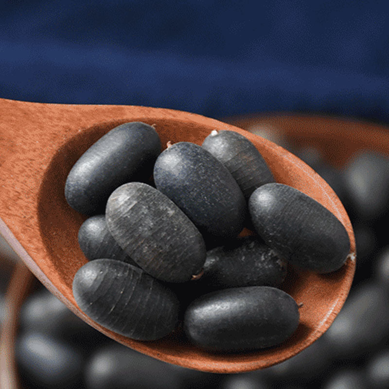 Shuang Shen Zi (Caesalpinia minax) — Dried Bitter Herb Seed for TCM Decoction - Image 2